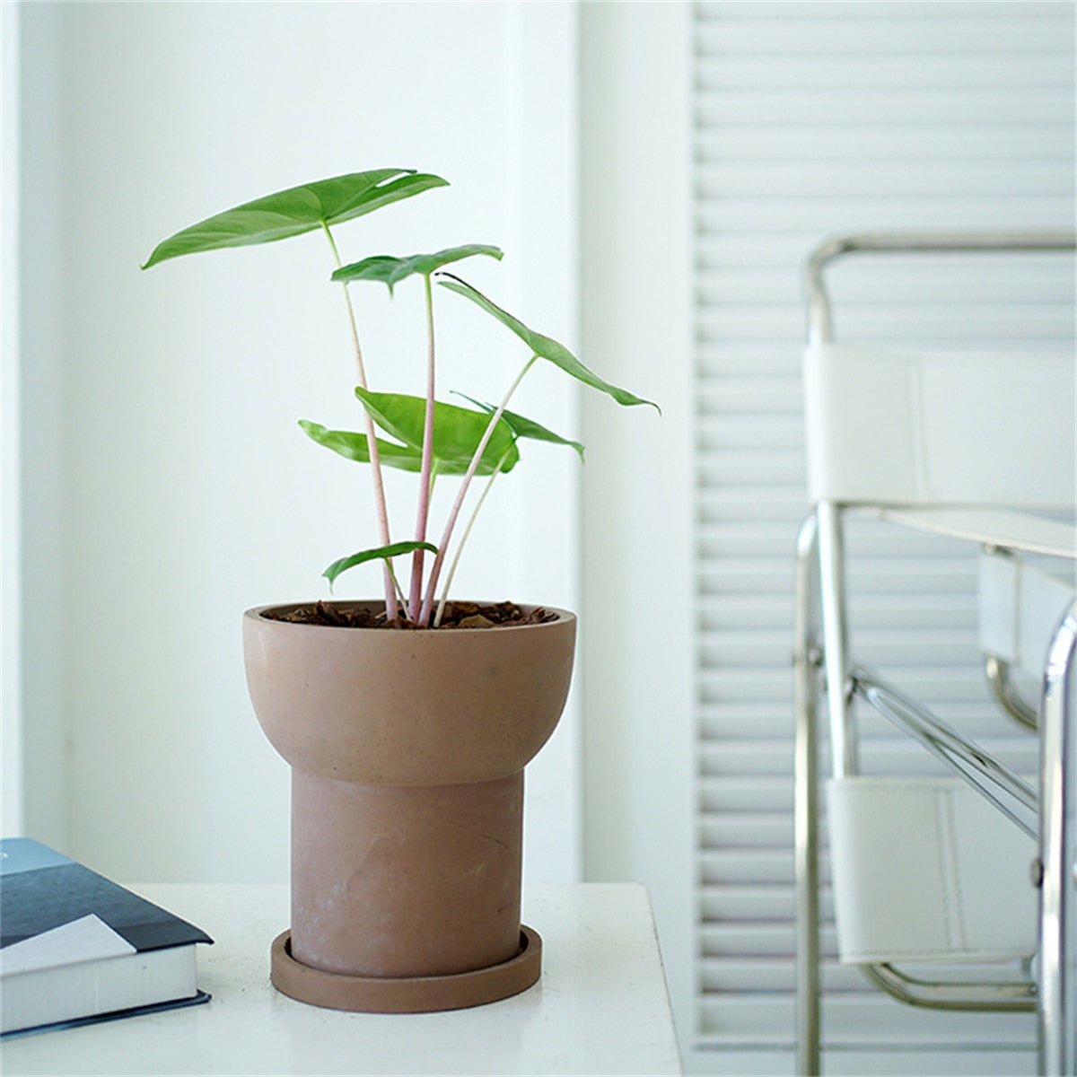 Cement Flower Pot with Tray