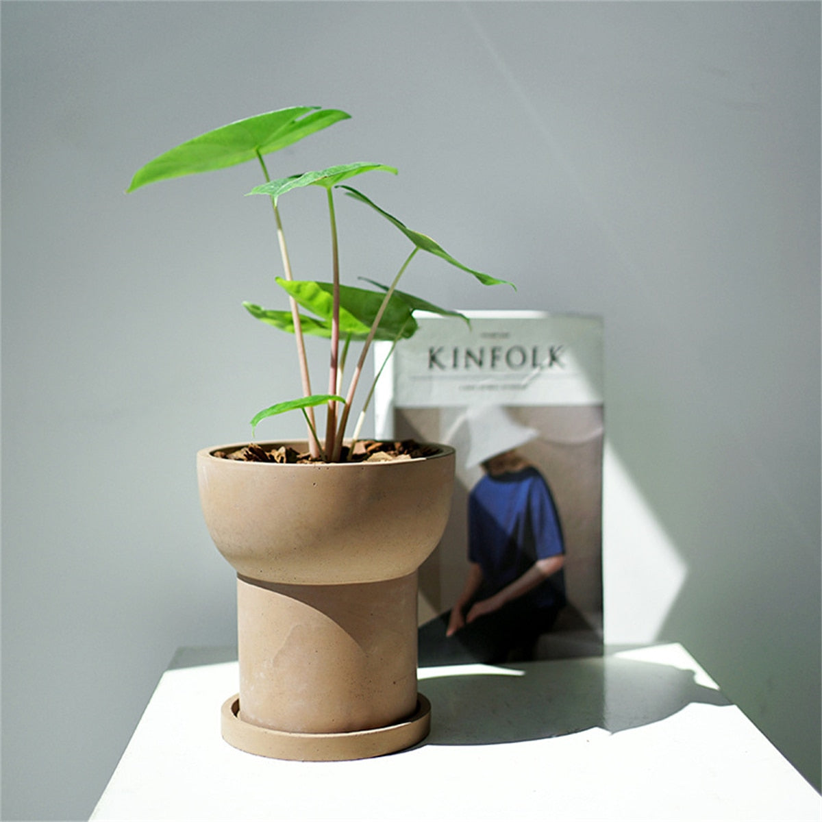 Cement Flower Pot with Tray