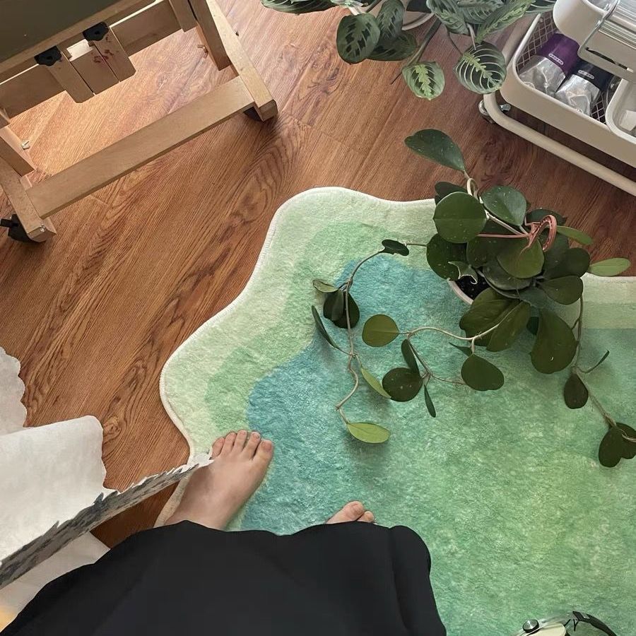 Irregular Shape Soft Rug