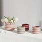Small Ceramic Plant Pot in Pink